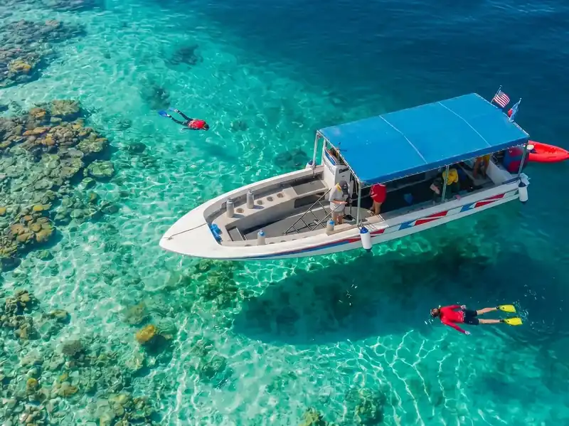Snorkeling at Mabul and Kapalai to see green sea turtles with Pavalintang Resort near Semporna